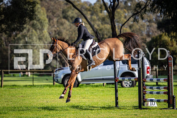 IMGP7620