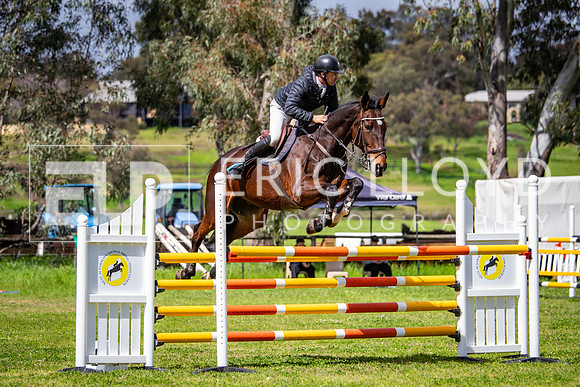 IMGP9253