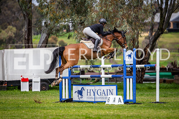 IMGP9526