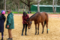 Ground - Flat Work Afternoon
