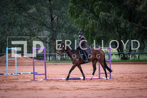 DSCF4739