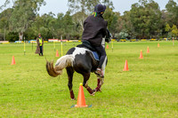 DSCF0318