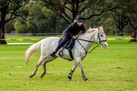 DSCF0531