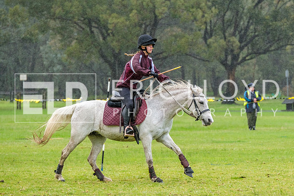 DSCF0914