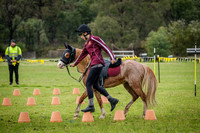 DSCF1162