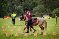 DSCF1165