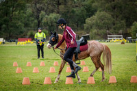 DSCF1166