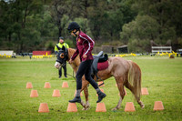 DSCF1168