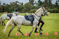 DSCF1186