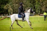 DSCF1667