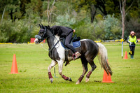 DSCF1677