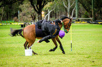 DSCF1682
