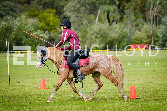 DSCF1774