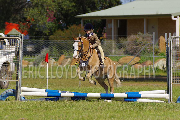 Bev Ag 2014-5180