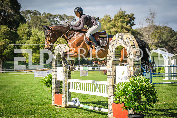 DSCF0350