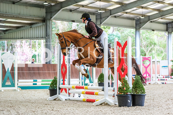 DSCF0989