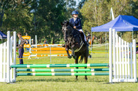IMGP0128