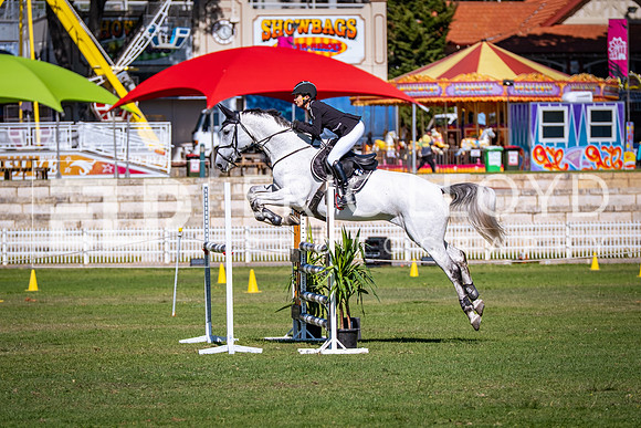 DSCF8299