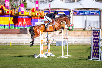 DSCF8690