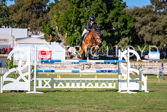 DSCF8701