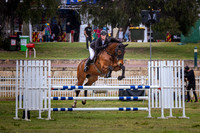 Class 712. Amateur Horses - Table A