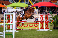 Class 713. Amateur Horses - Table C