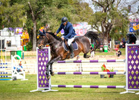DSCF0254