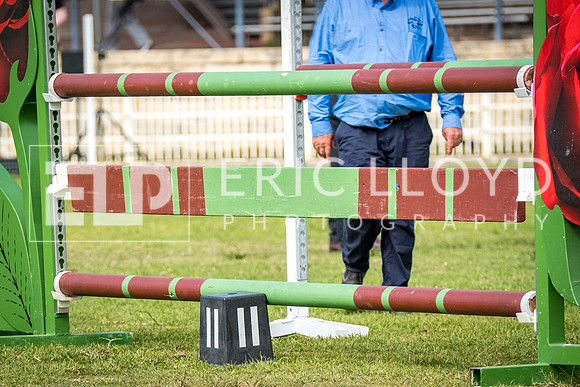 DSCF0197