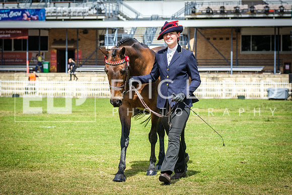 DSCF1881