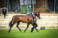 Perth Royal Show Tuesday 30.09.2025