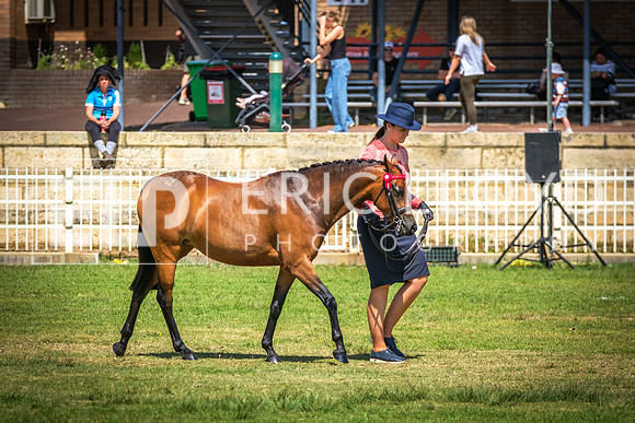 DSCF2384