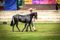 DSCF2386