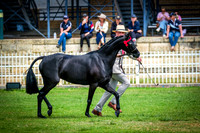 DSCF3246