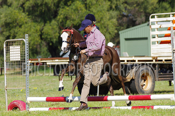 Bev Ag 2014-5172