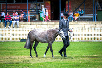 DSCF3717