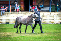 DSCF3718