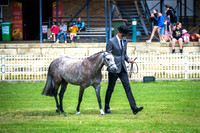 DSCF3722