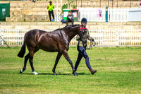 DSCF4013