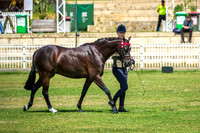 DSCF4012