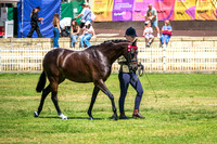 DSCF4022