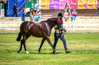 DSCF4023