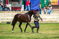 DSCF4073