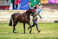 DSCF4076