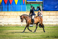 DSCF4616
