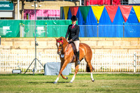 DSCF4637