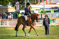 DSCF4639