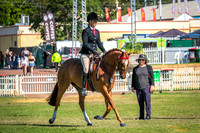 DSCF4640