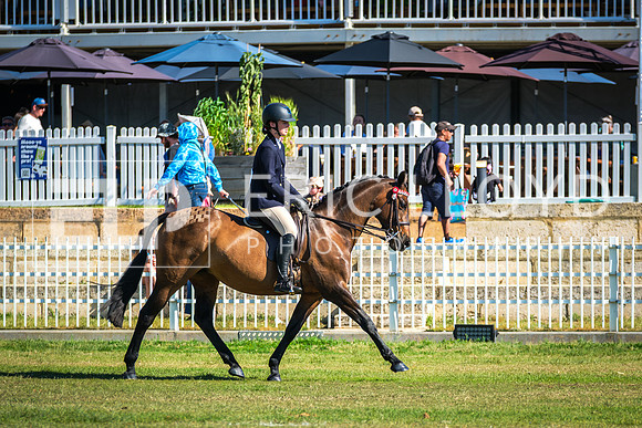 DSCF4672