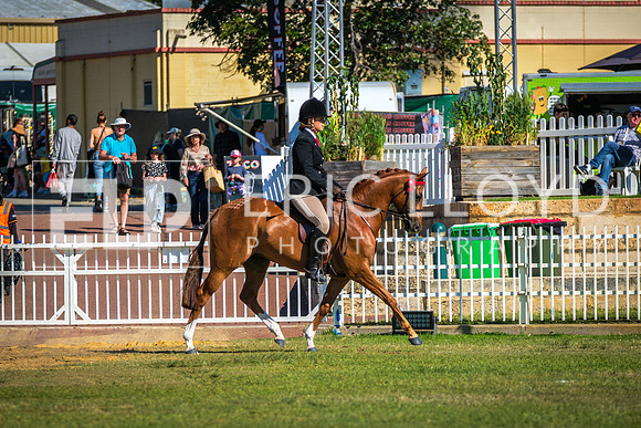 DSCF4787