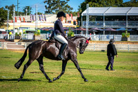 DSCF5311